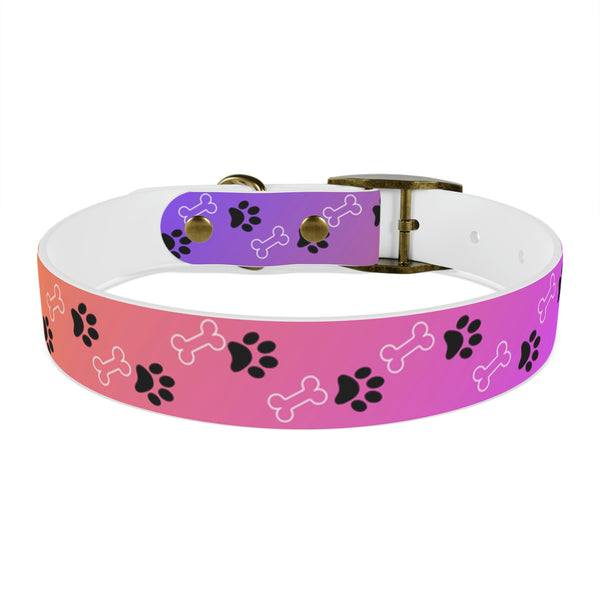 Pink Dog Collar