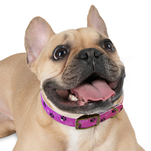 Pink Dog Collar