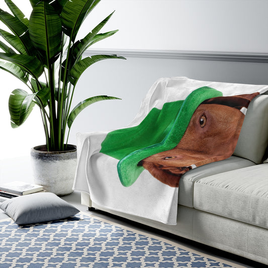 Leprechaun Dog Blanket