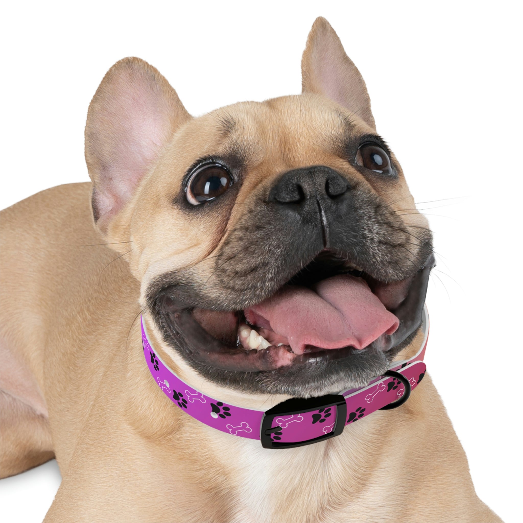 Pink Dog Collar