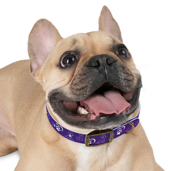 Purple Dog Collar