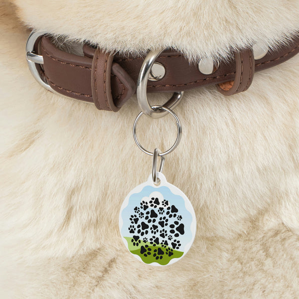 Pet Tag