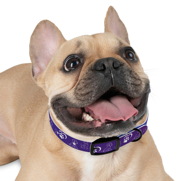 Purple Dog Collar