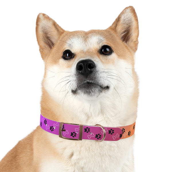 Pink Dog Collar