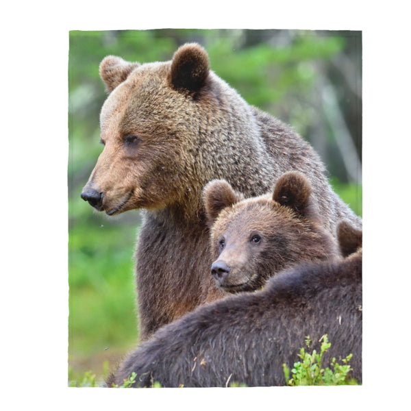 Bears Blanket