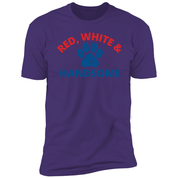 Red White & HandsomeTee