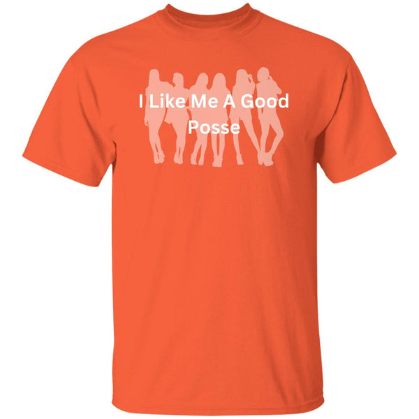 I Like Me A Good Posse T-Shirt