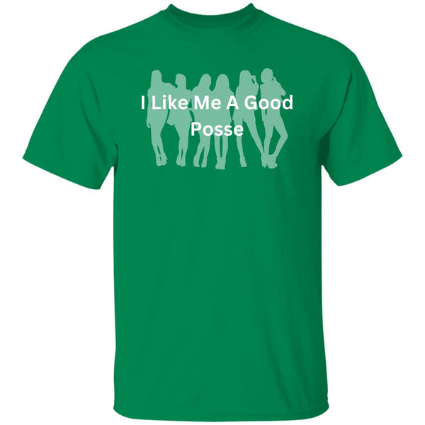 I Like Me A Good Posse T-Shirt