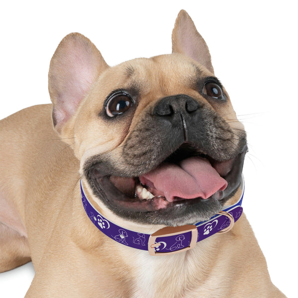 Purple Dog Collar