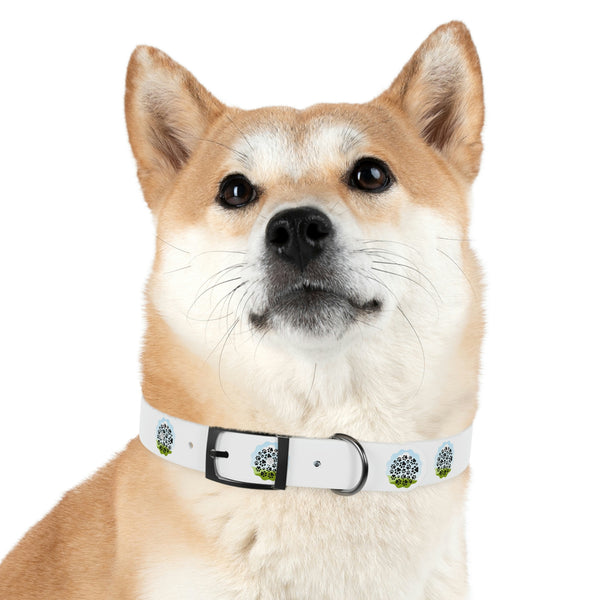 Dog Collar