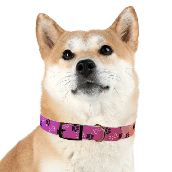 Pink Dog Collar