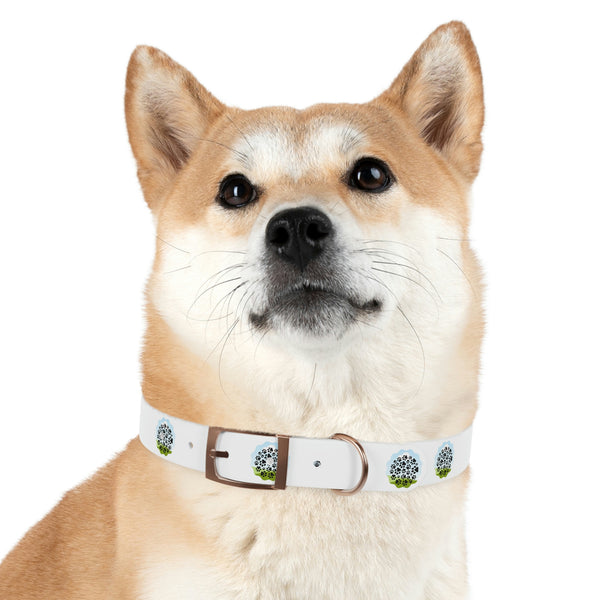 Dog Collar