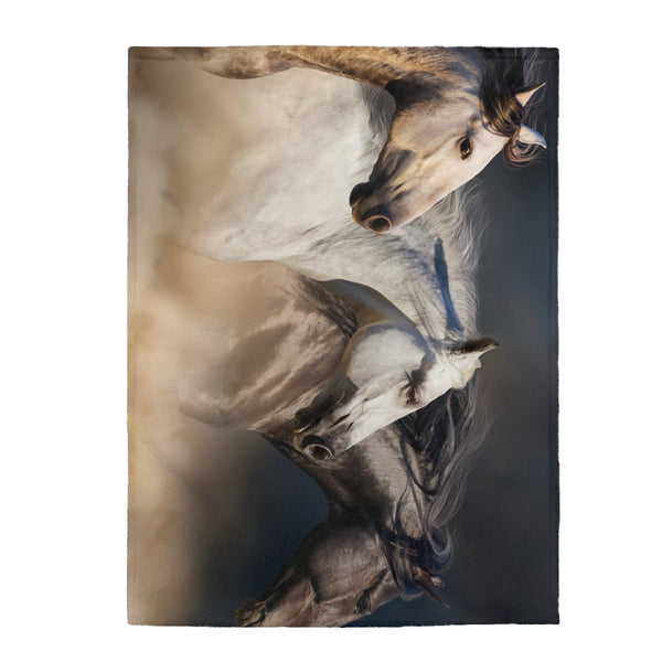 Horses Blanket