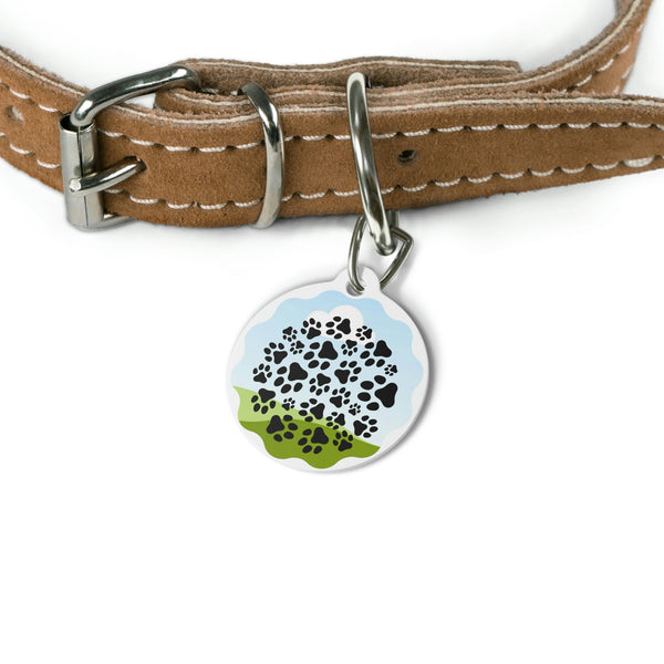 Pet Tag