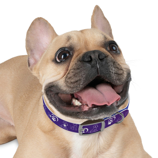 Purple Dog Collar