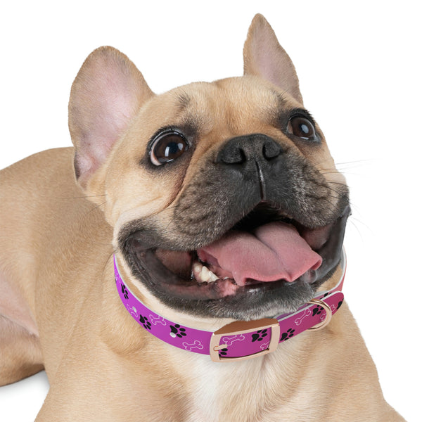 Pink Dog Collar