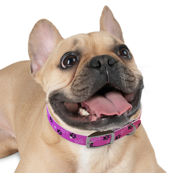 Pink Dog Collar