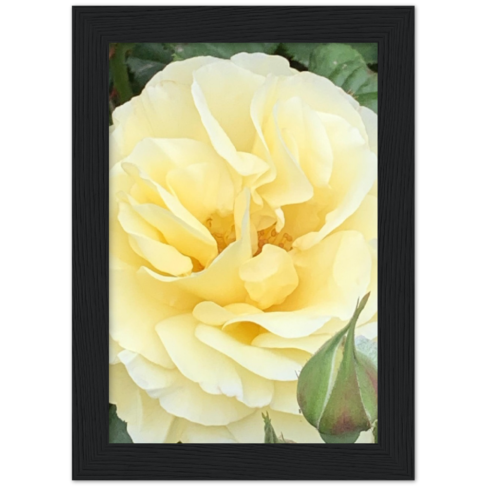 Classic Semi-Glossy Paper Wooden Framed Poster