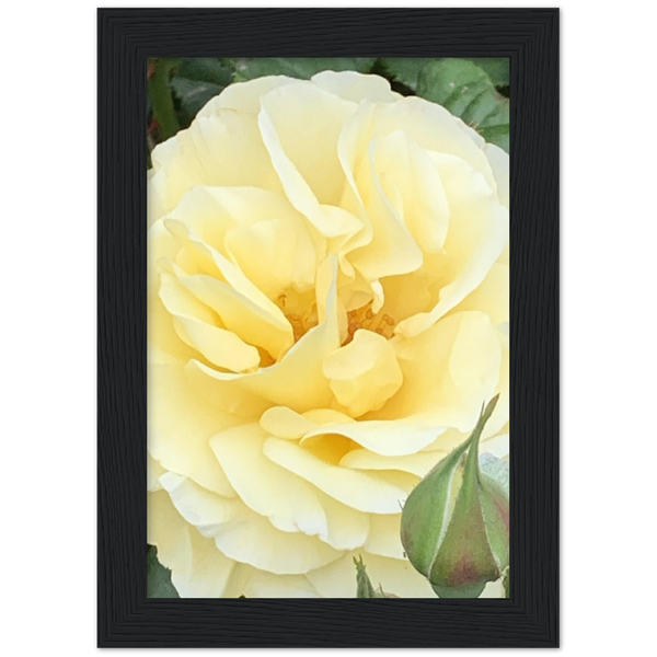 Classic Semi-Glossy Paper Wooden Framed Poster