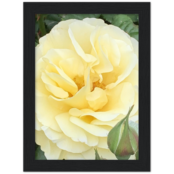 Classic Semi-Glossy Paper Wooden Framed Poster