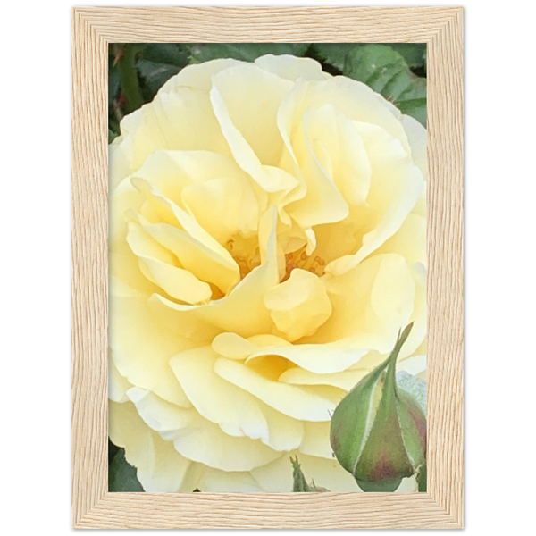 Classic Semi-Glossy Paper Wooden Framed Poster